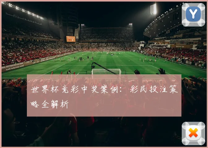 世界杯竞彩中奖案例：彩民投注策略全解析