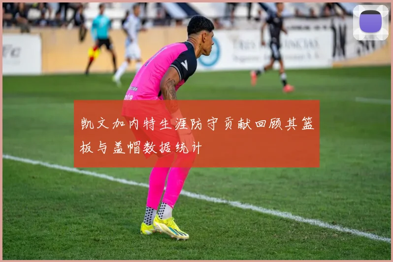 凯文加内特生涯防守贡献回顾其篮板与盖帽数据统计