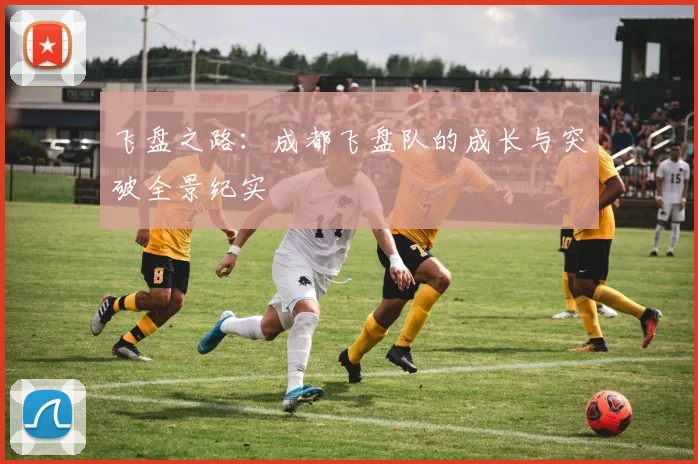 飞盘之路：成都飞盘队的成长与突破全景纪实