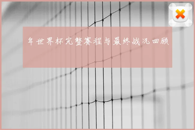 年世界杯完整赛程与最终战况回顾