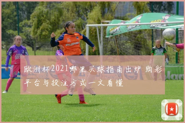 欧洲杯2021哪里买球指南出炉 购彩平台与投注方式一文看懂