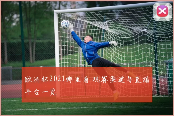 欧洲杯2021哪里看 观赛渠道与直播平台一览