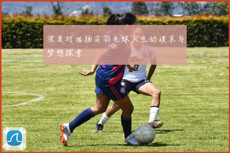 深度对话杨芳羽毛球人生的追求与梦想探索