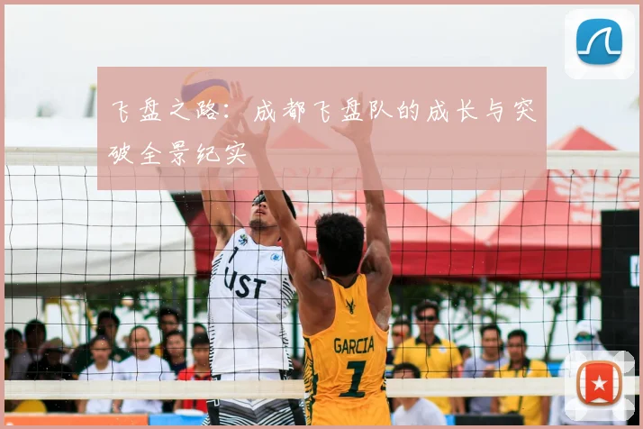 飞盘之路：成都飞盘队的成长与突破全景纪实