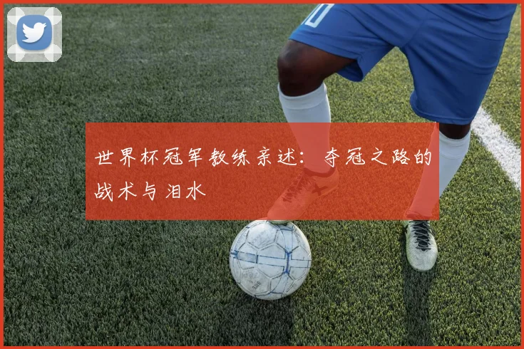 世界杯冠军教练亲述：夺冠之路的战术与泪水