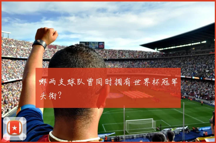 哪两支球队曾同时拥有世界杯冠军头衔？