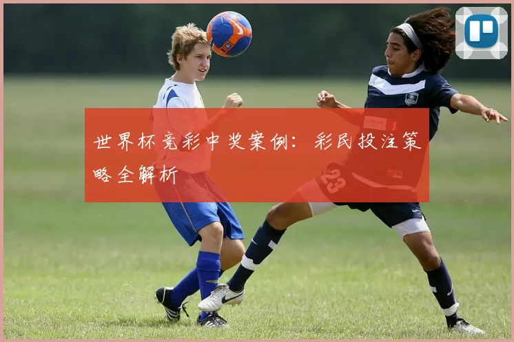 世界杯竞彩中奖案例：彩民投注策略全解析