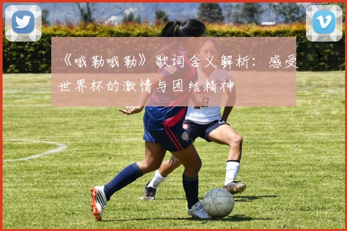 《哦勒哦勒》歌词含义解析：感受世界杯的激情与团结精神
