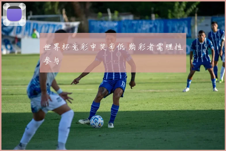 世界杯竞彩中奖率低 购彩者需理性参与
