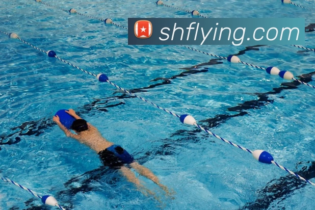 开云体育平台生态图